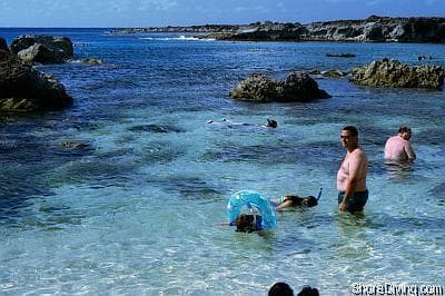 Shark's Cove